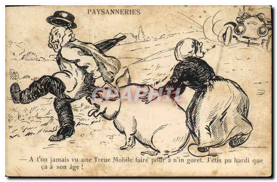 CPA Cochon Porc Paysanneries Automobile 
