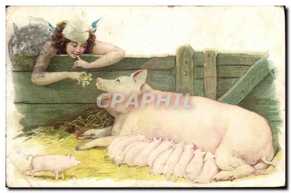CPA Cochon Porc Femme 