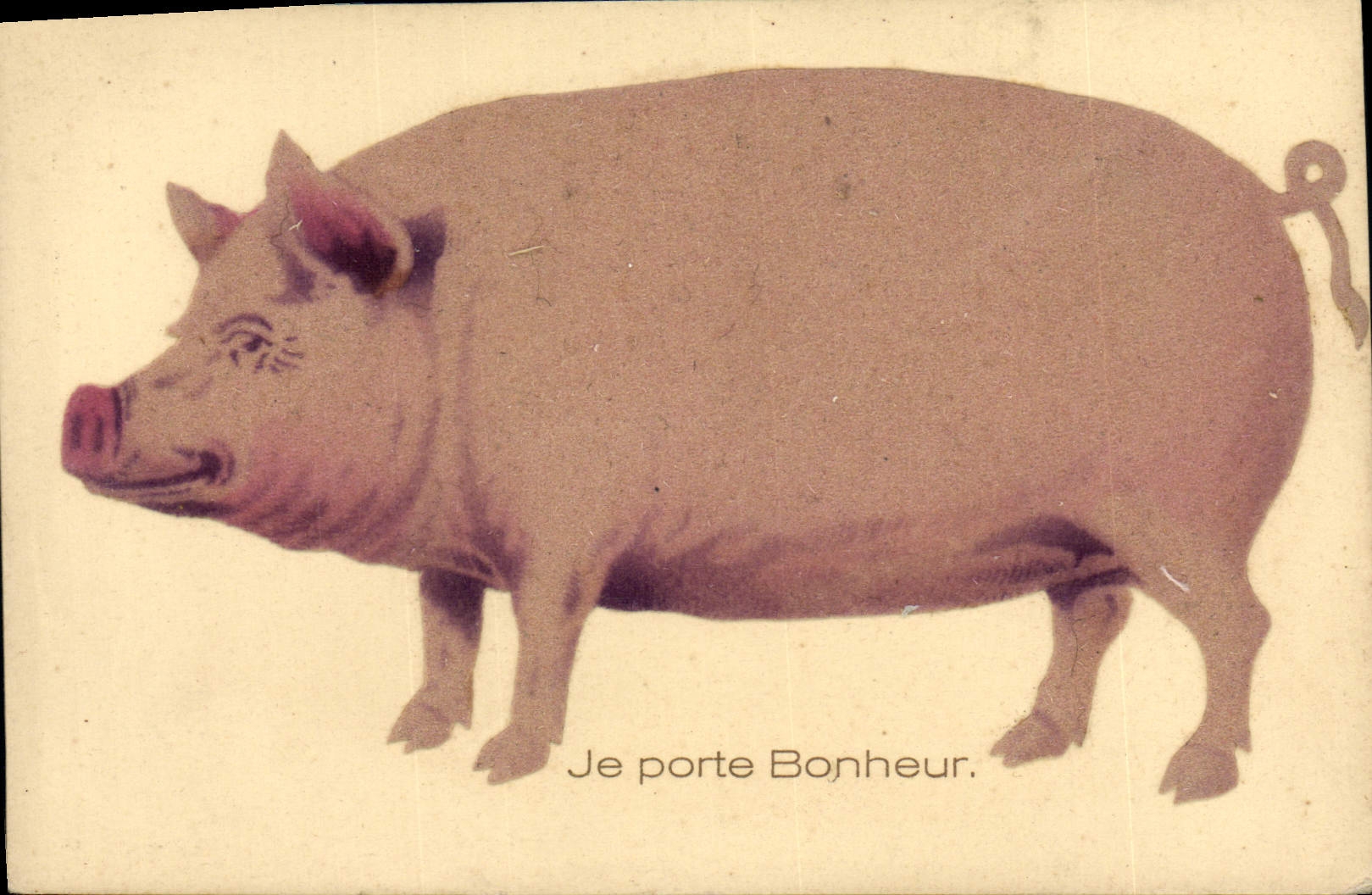 CPA Cochon Porc (en feutrine) 