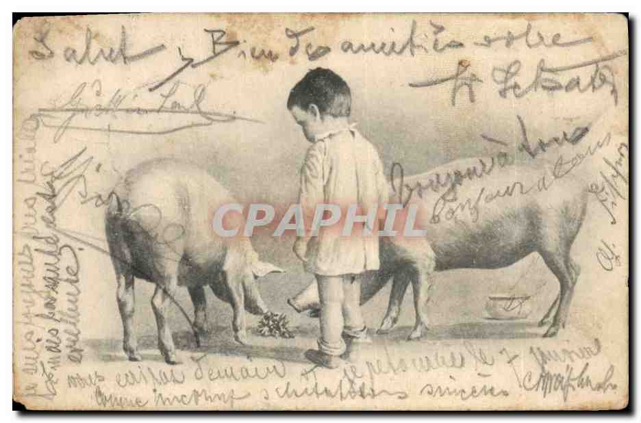 CPA Cochon Porc Enfant 