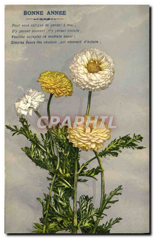 CPA Fantaisie Fleurs 