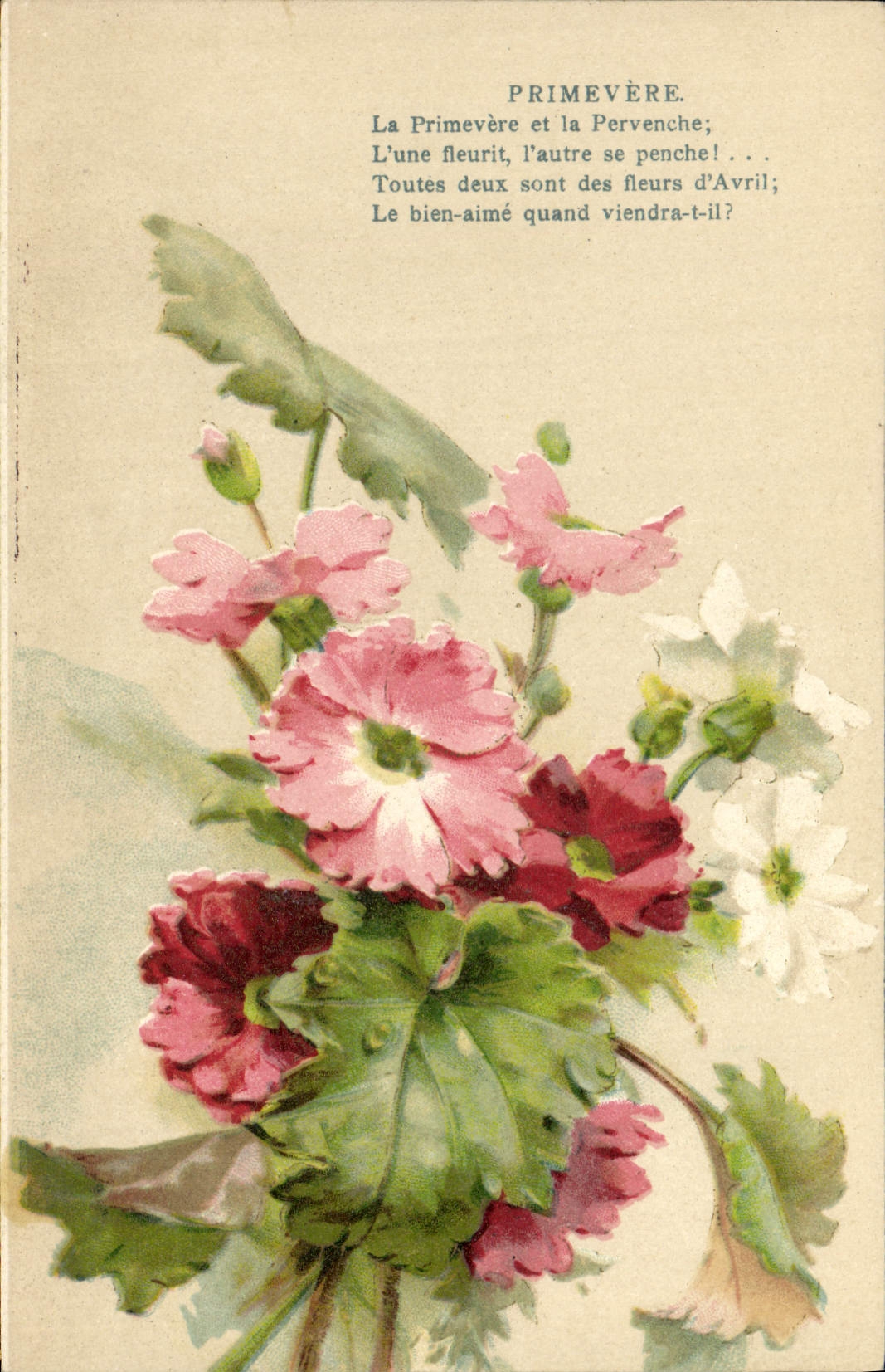 CPA Fantaisie Fleurs Primevere