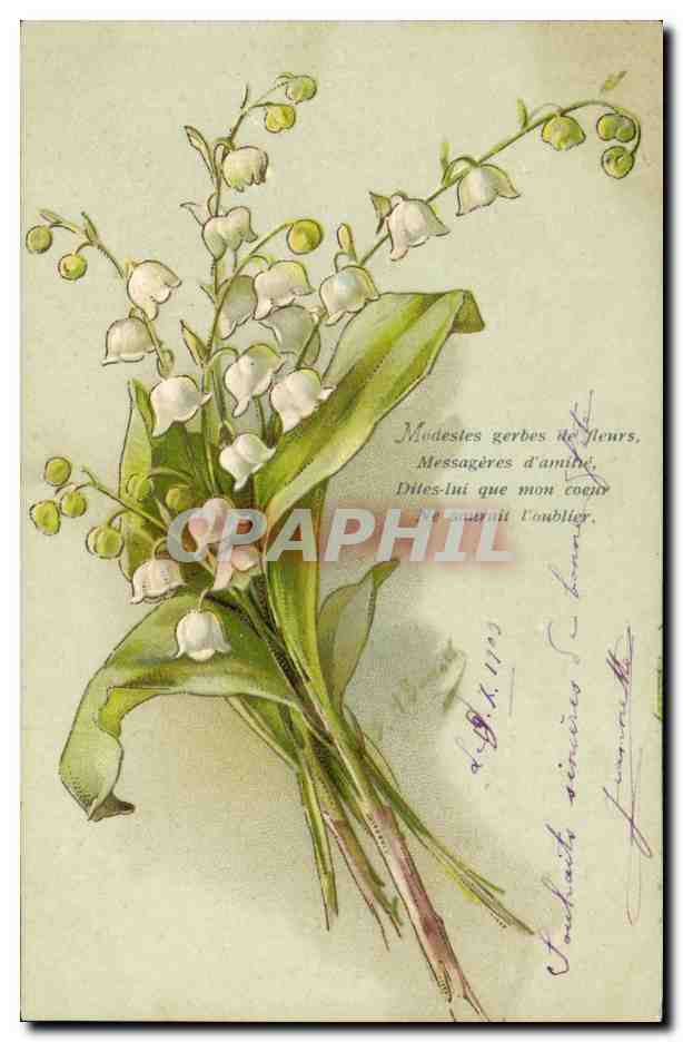 CPA Fantaisie Fleurs 