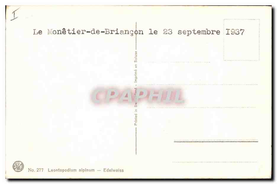 CPA Fantaisie Fleurs Edelweiss  — Verso