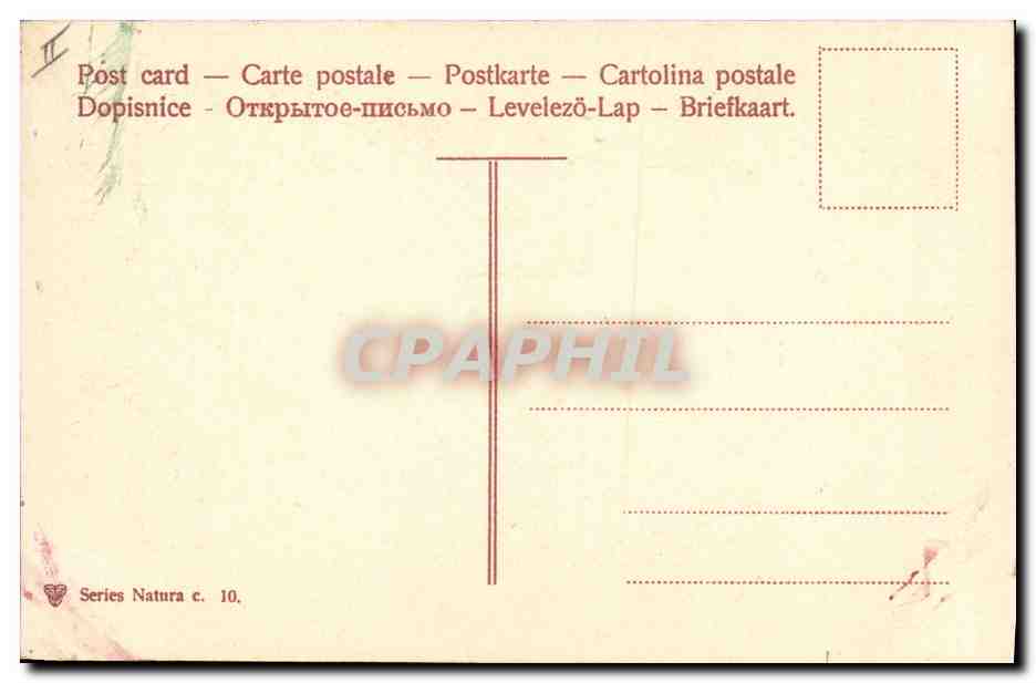 CPA Fantaisie Fleurs  — Rückseite