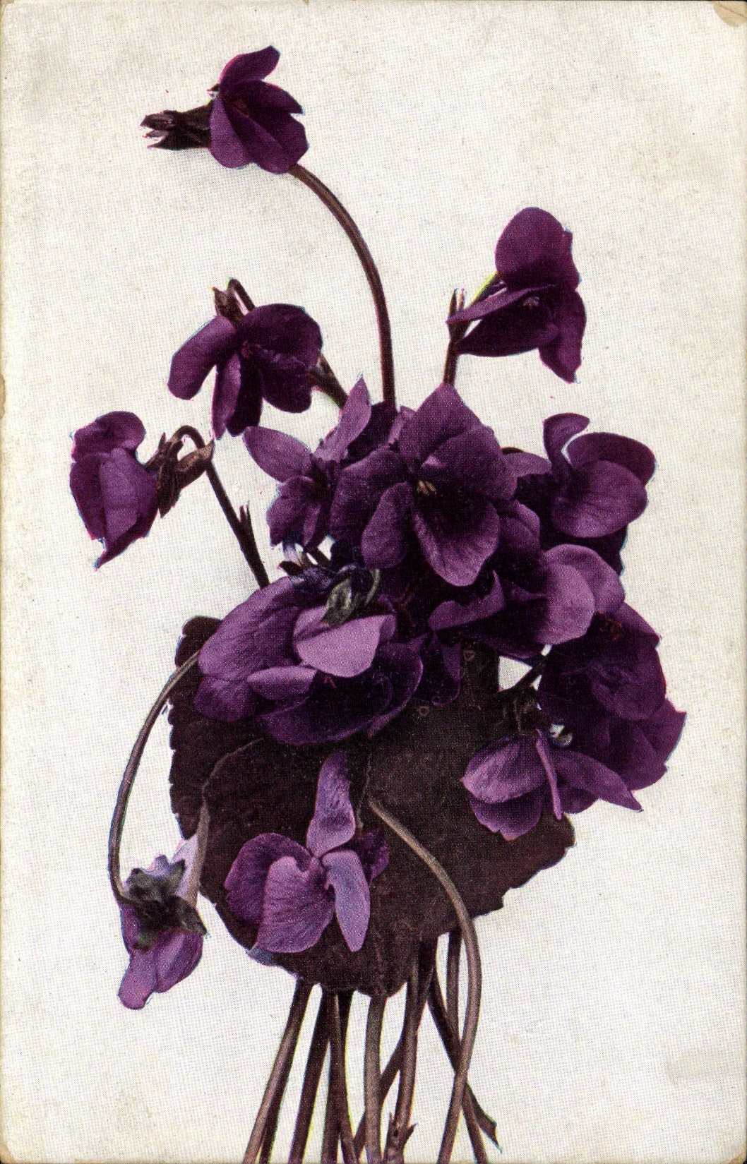 CPA Fantaisie Fleurs 