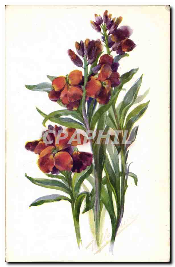 CPA Fantaisie Fleurs 