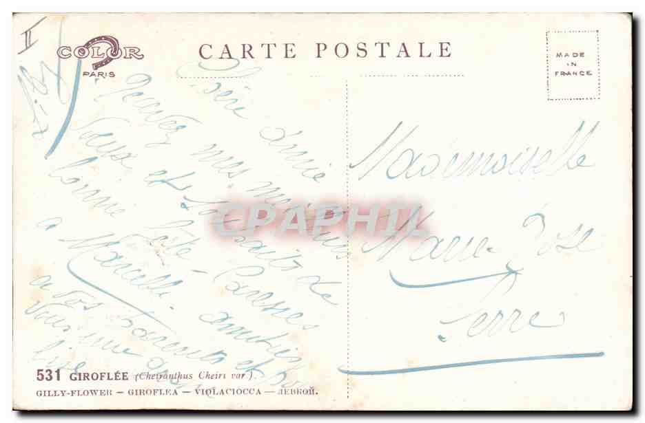 CPA Fantaisie Fleurs  — Rückseite