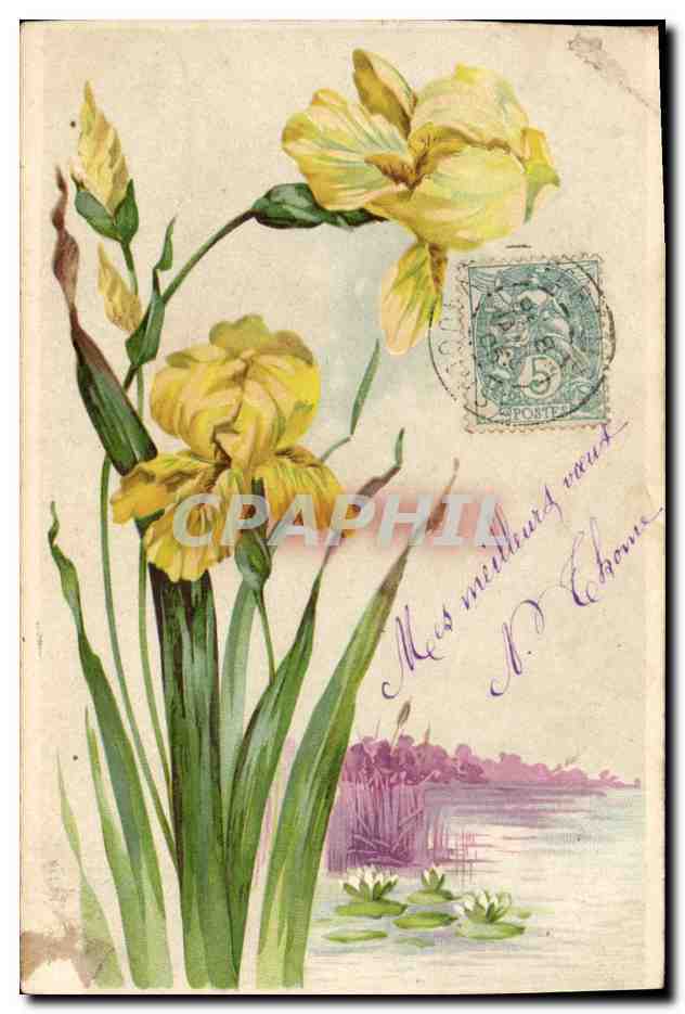 CPA Fantaisie Fleurs 