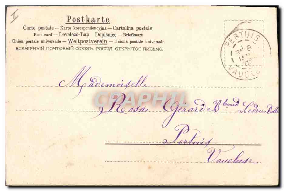 CPA Fantaisie Fleurs  — Verso