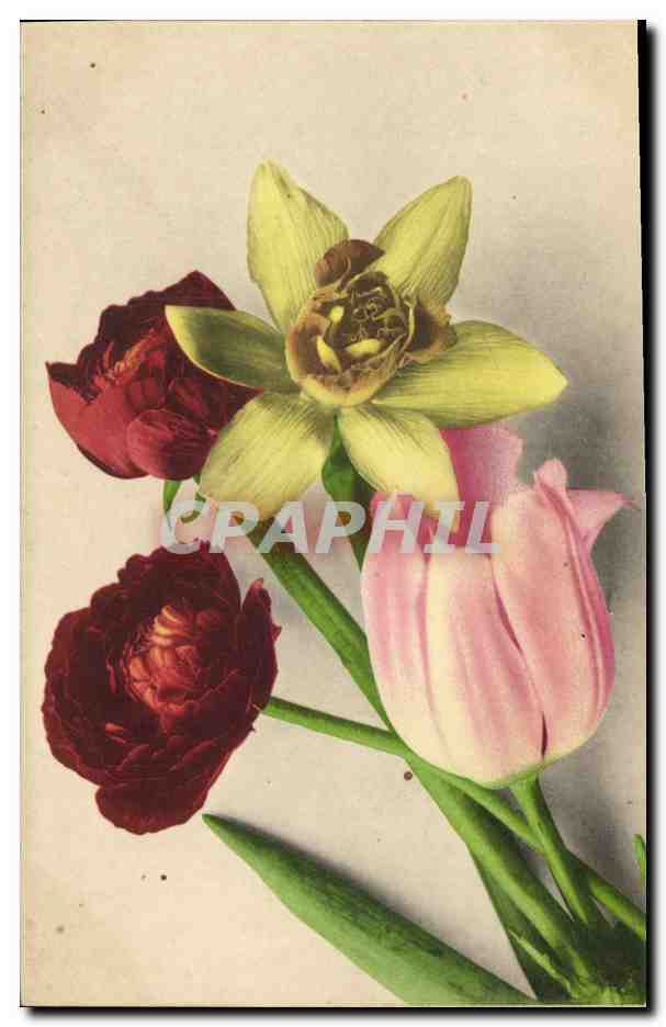 CPA Fantaisie Fleurs 