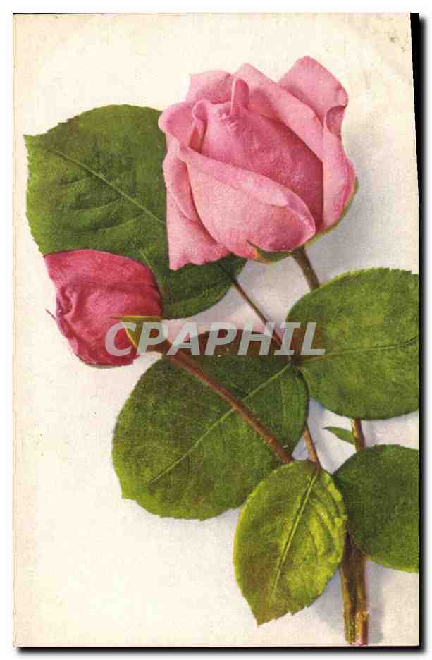 CPA Fantaisie Fleurs 
