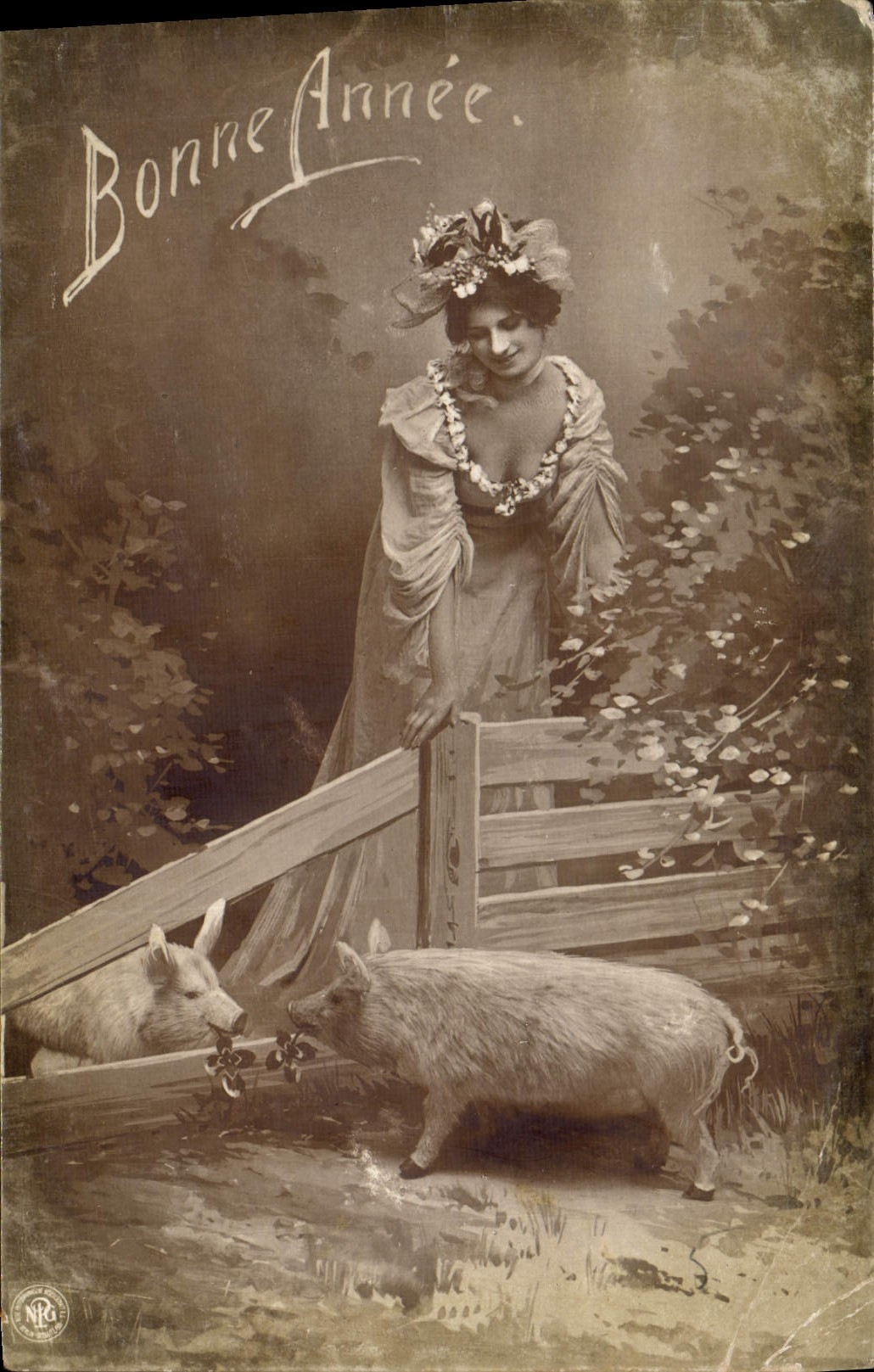 CPA Cochon Porc Femme 