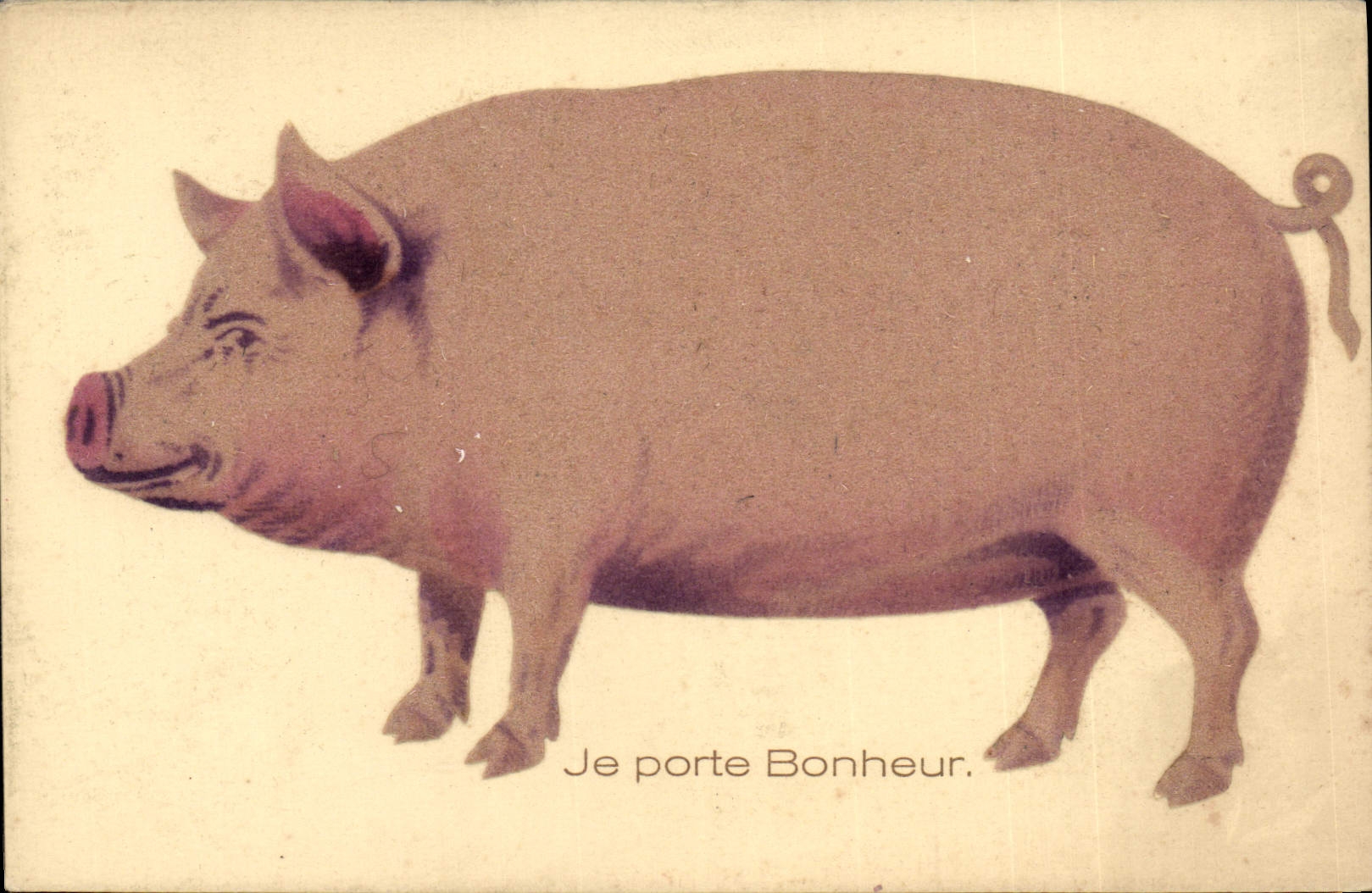CPA Cochon Porc (sujet en relief) 