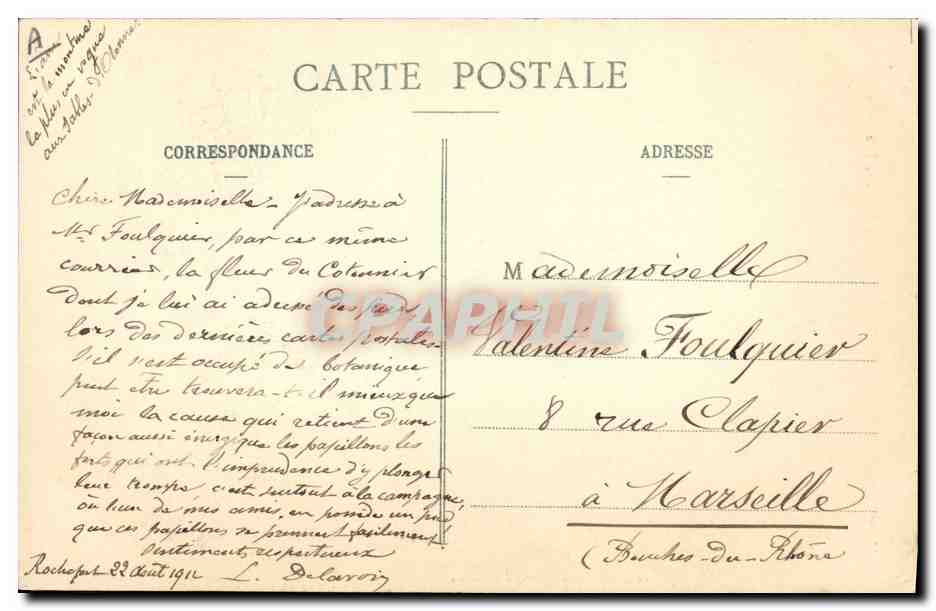 CPA Folklore Sablaise Ane Mule — Verso