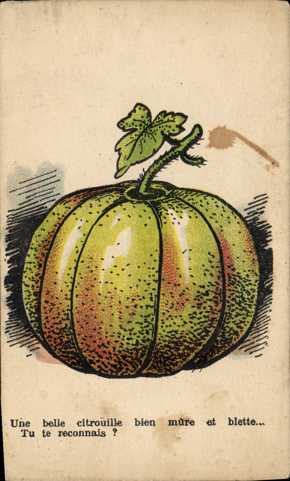 CPA Fantaisie Illustrateur Citrouille