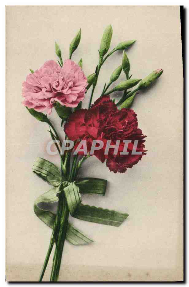 CPA Fantaisie Fleurs 