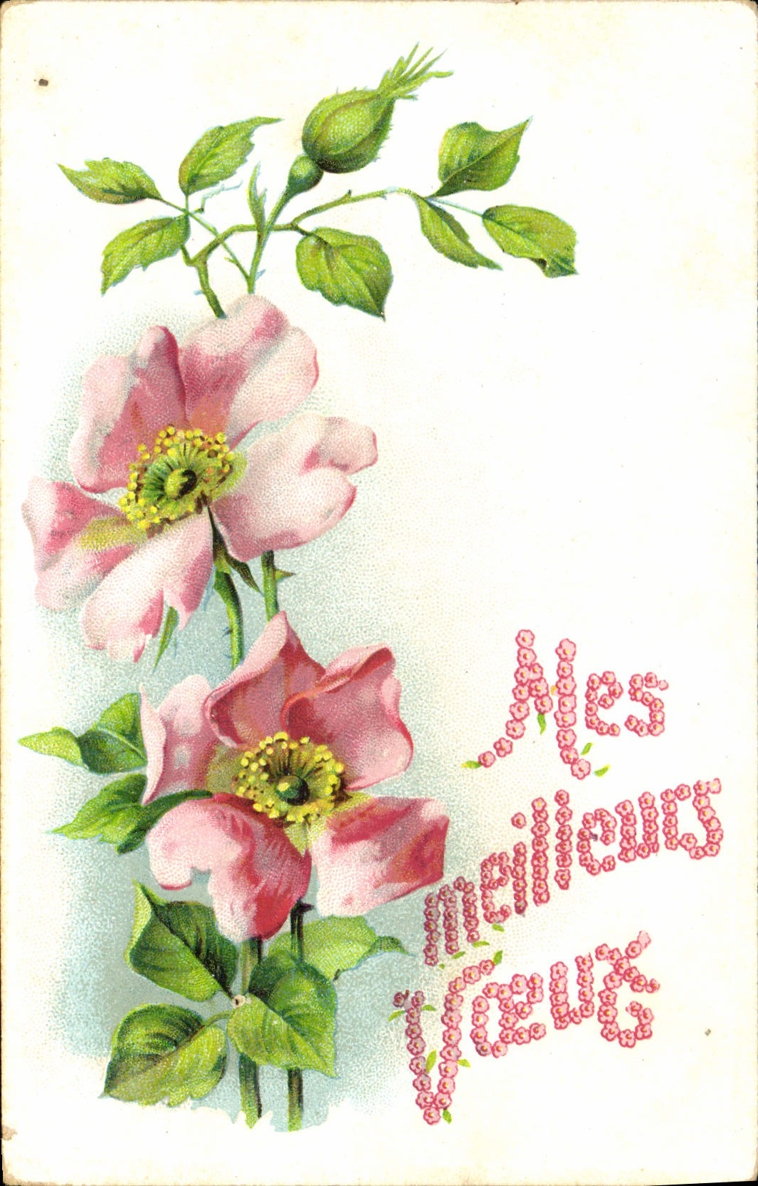 CPA Fantaisie Fleurs 