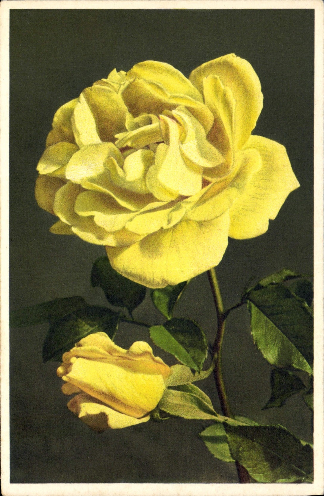CPA Fantaisie Fleurs Ville de Paris 