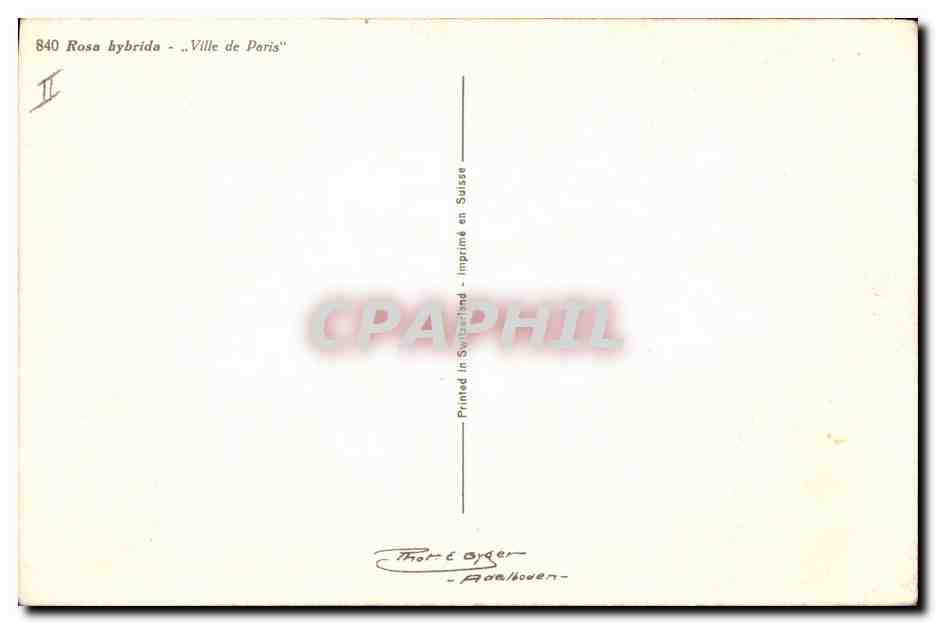 CPA Fantaisie Fleurs Ville de Paris  — Verso