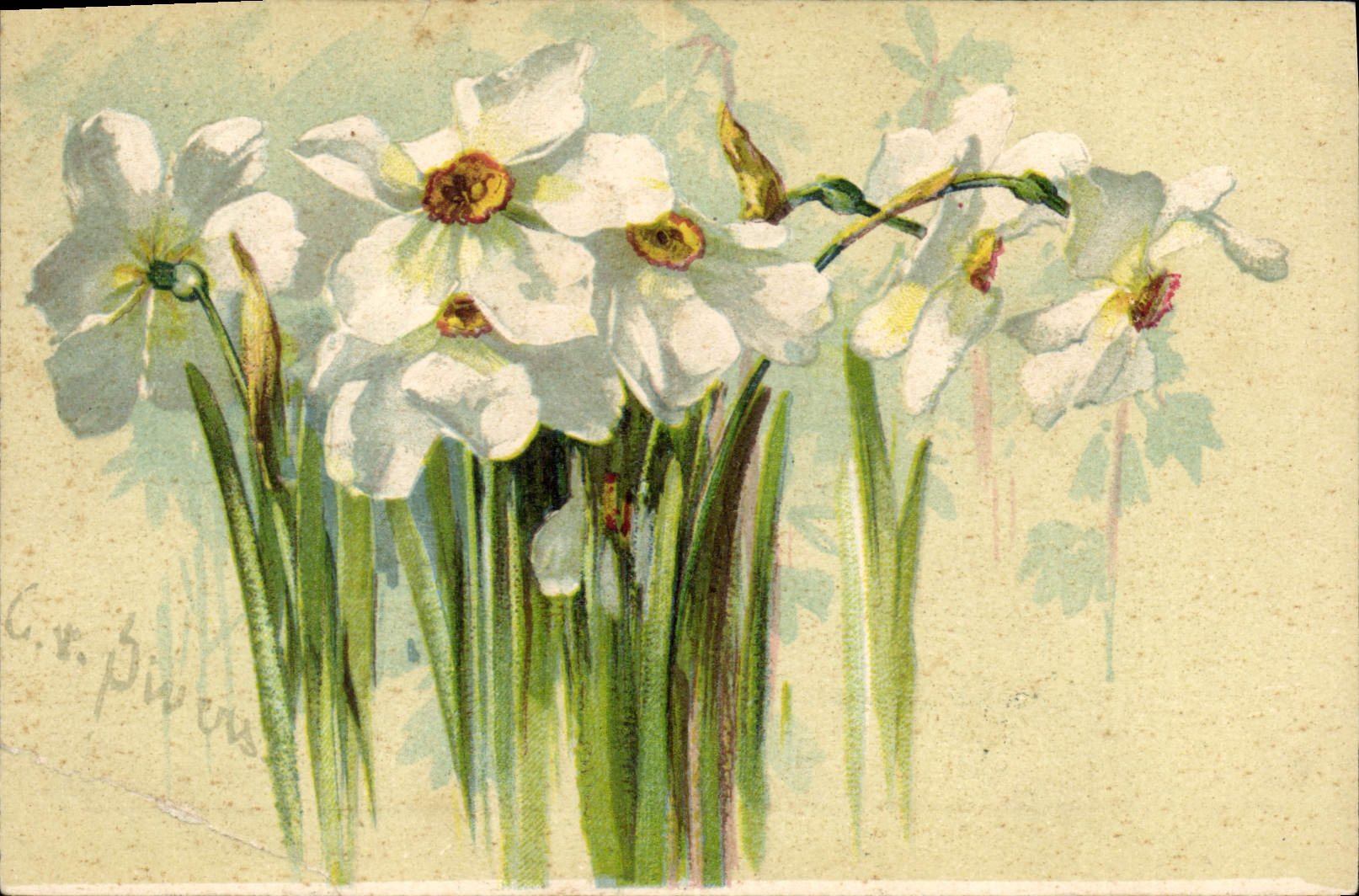 CPA Fantaisie Fleurs 