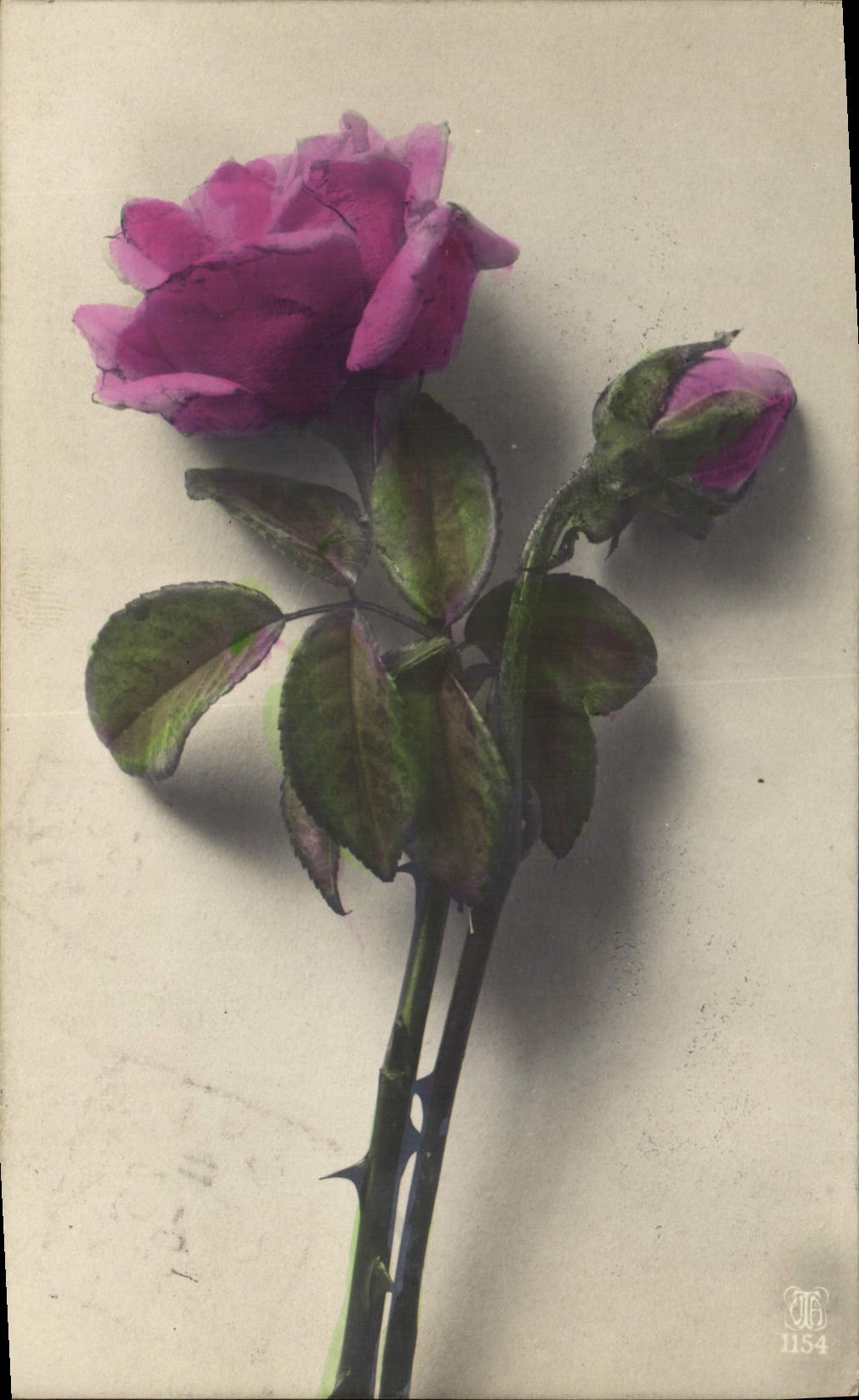 CPA Fantaisie Fleurs 