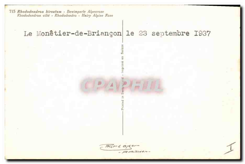 CPA Fantaisie Fleurs Rhododendron cilie  — Verso