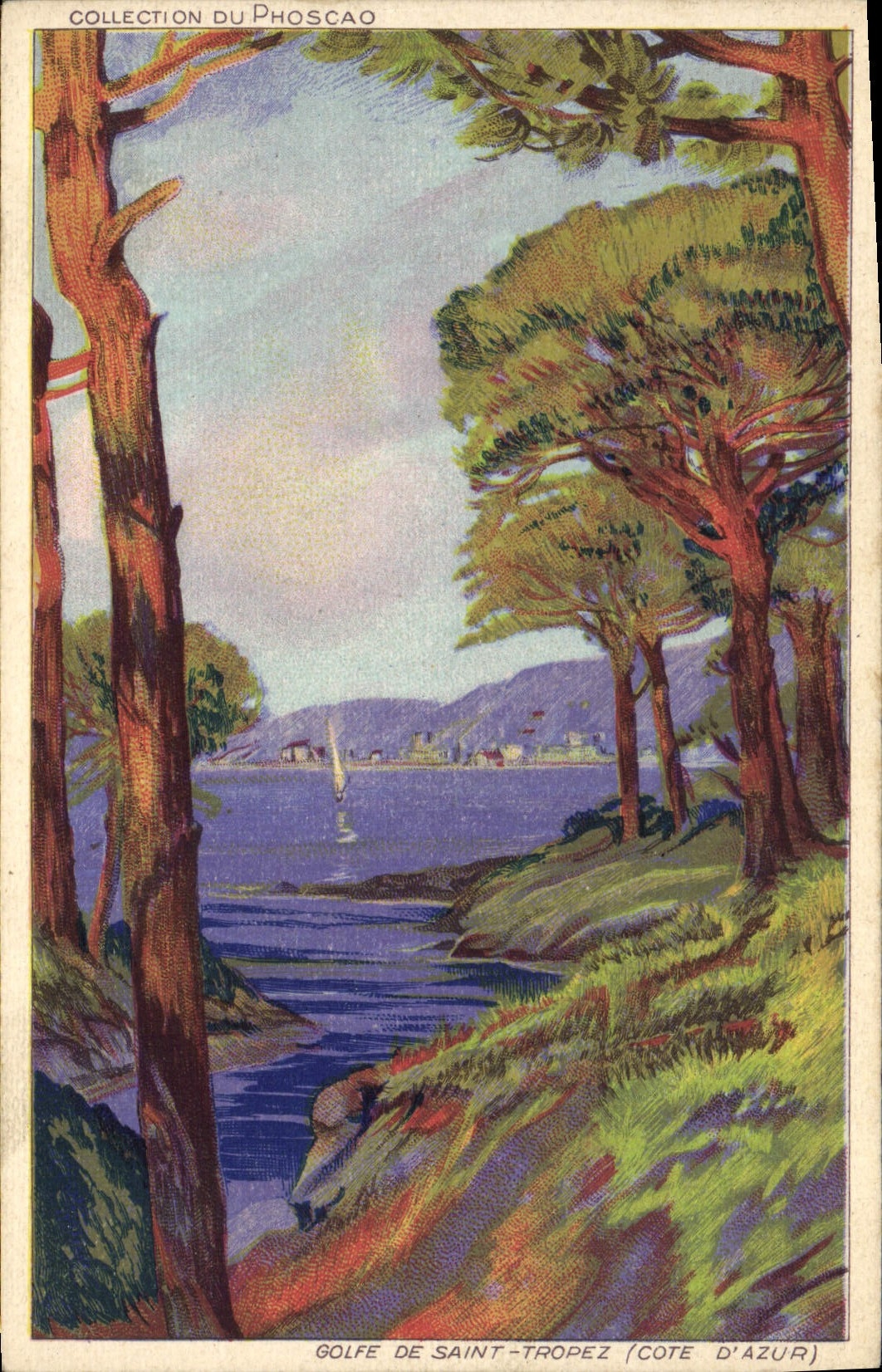 Golfe de Saint-Tropez (Côte d'Azur) — vue encadrée par des pins — Collection du Phoscaoo