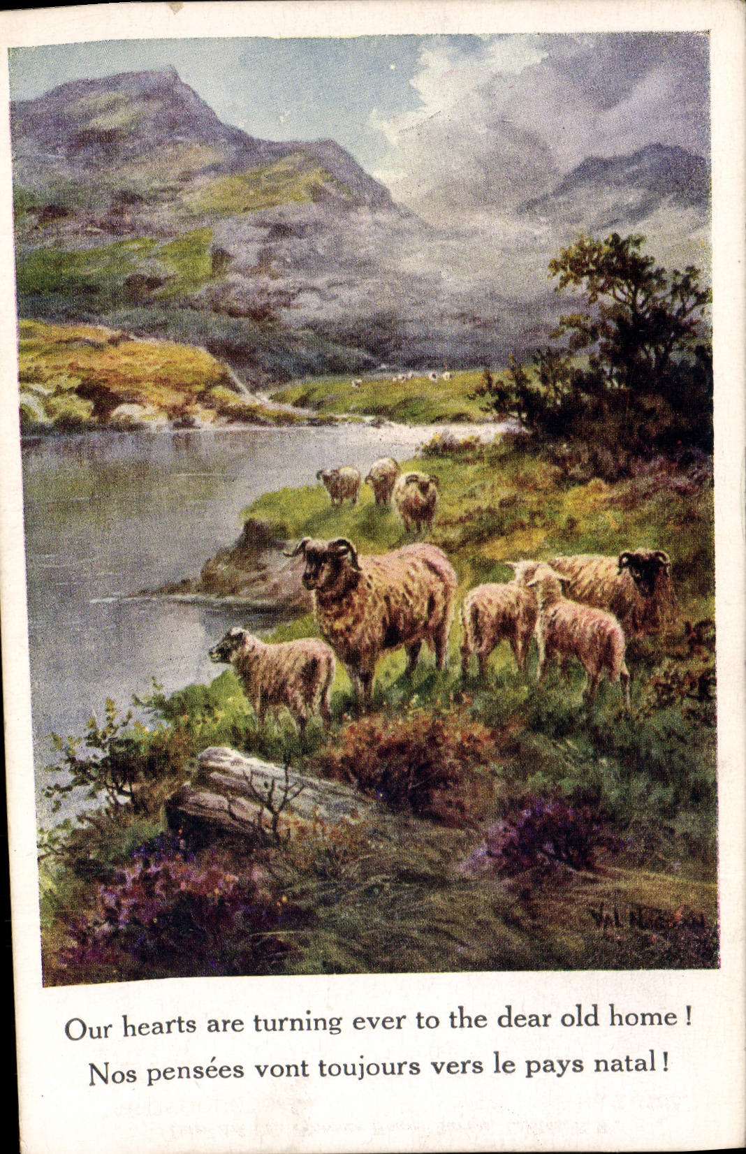 CPA Fantaisie Illustrateur Moutons 