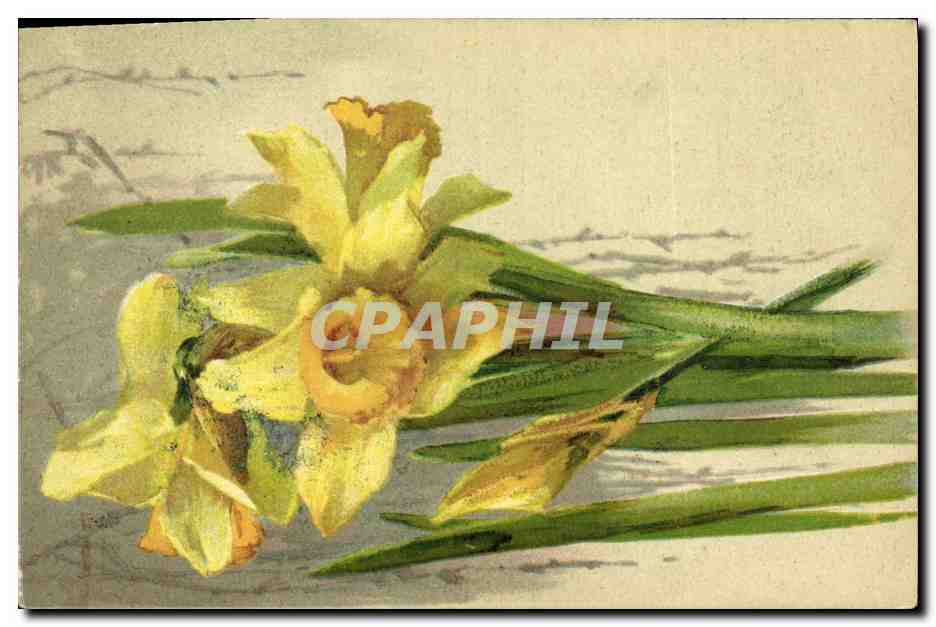 CPA Fantaisie Fleurs 