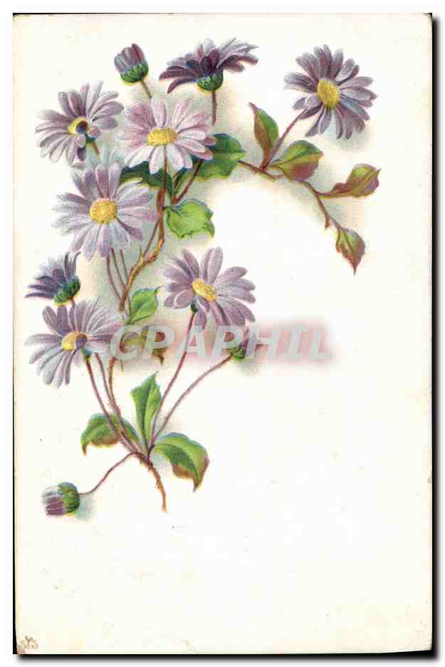 CPA Fantaisie Fleurs 