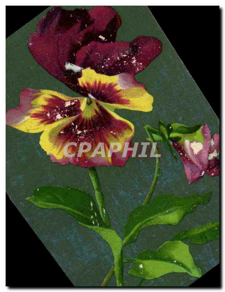 CPA Fantaisie Fleurs 