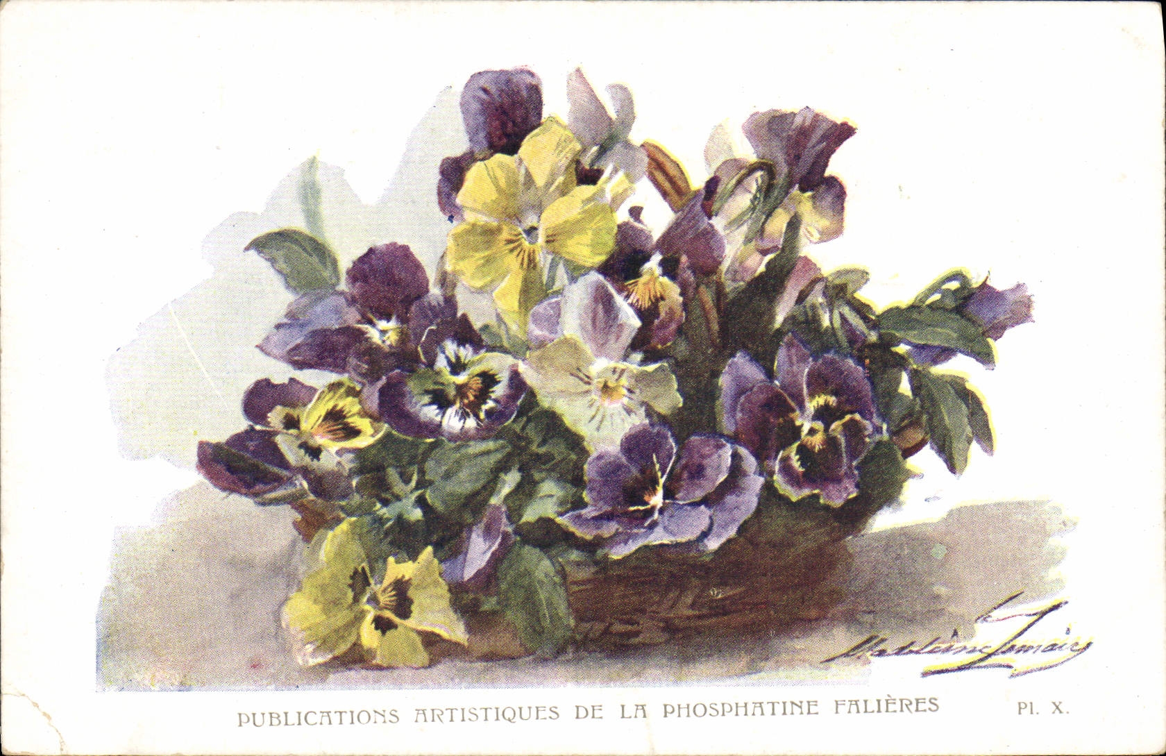 CPA Fantaisie Fleurs Phosphatine Falieres