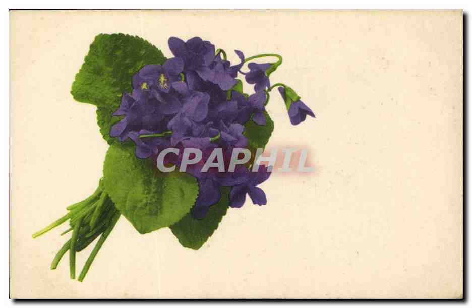 CPA Fantaisie Fleurs 