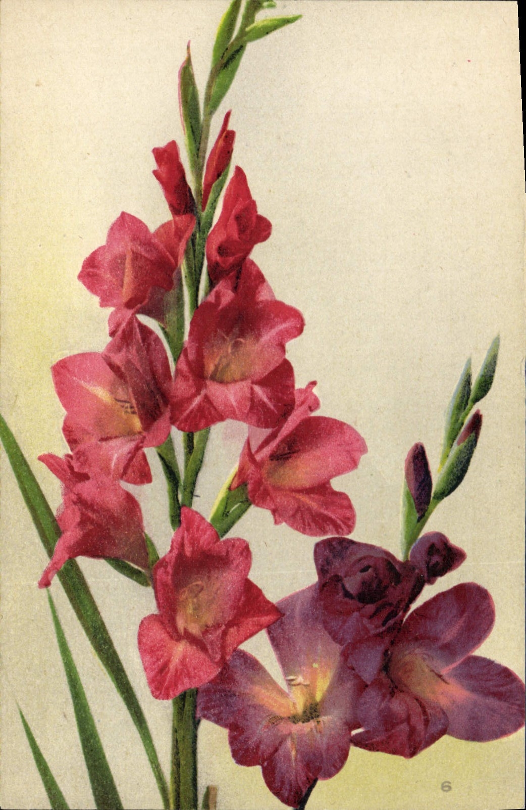 CPA Fantaisie Fleurs 