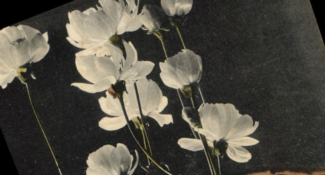 CPA Fantaisie Fleurs 