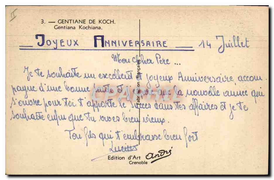 CPA Fantaisie Fleurs Gentiane de Koch  — Rückseite