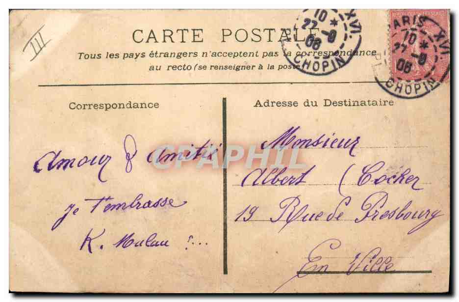 CPA Cochon Porc Brevet de parfait cochon  — Verso