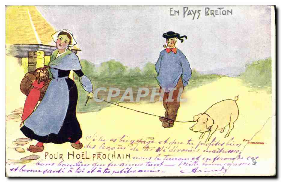 CPA Cochon Porc En pays breton Felle Pour Noel prochain 