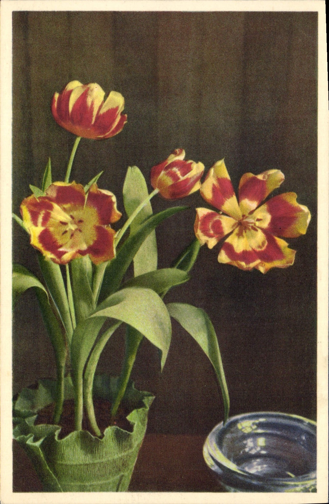 CPA Fantaisie Fleurs Tulipes 