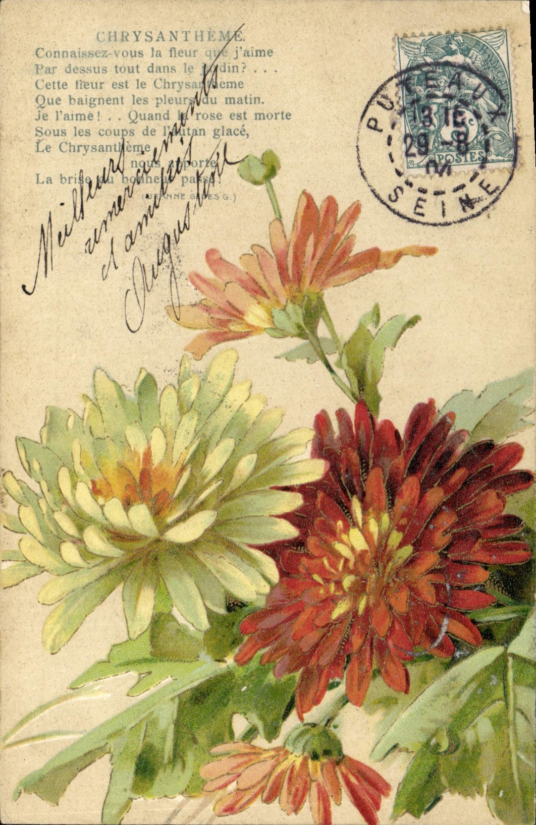 CPA Fantaisie Fleurs Chrysantheme 
