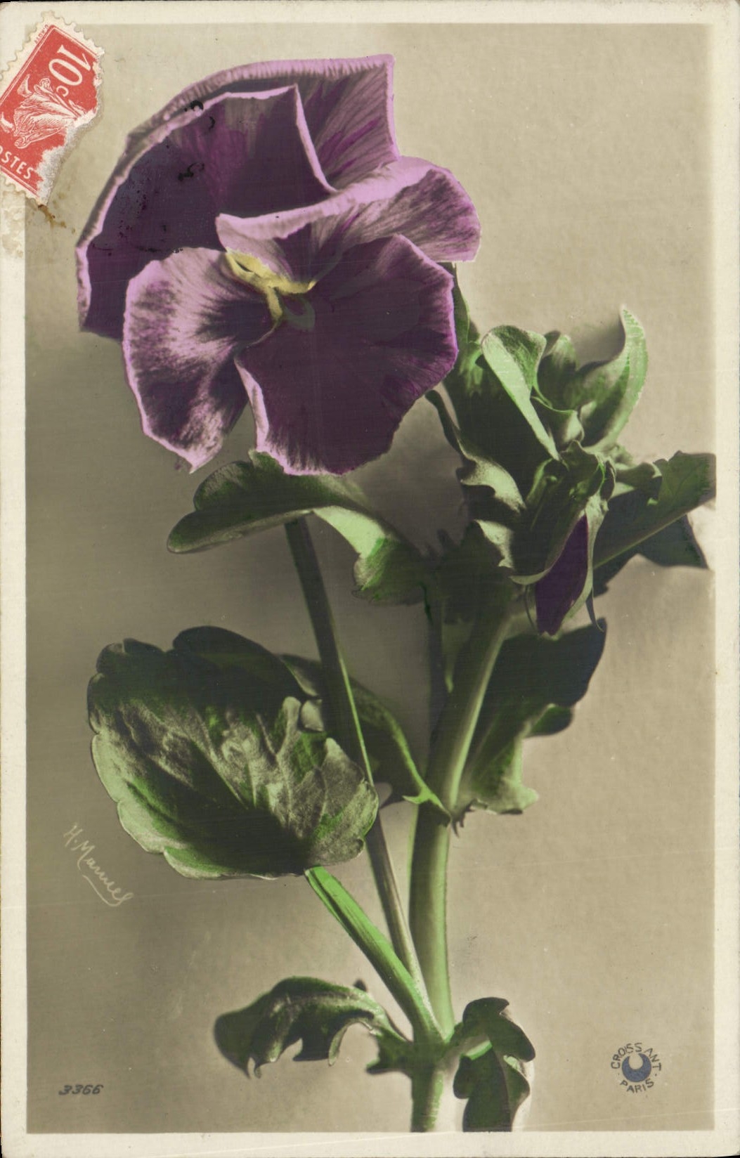 CPA Fantaisie Fleurs 