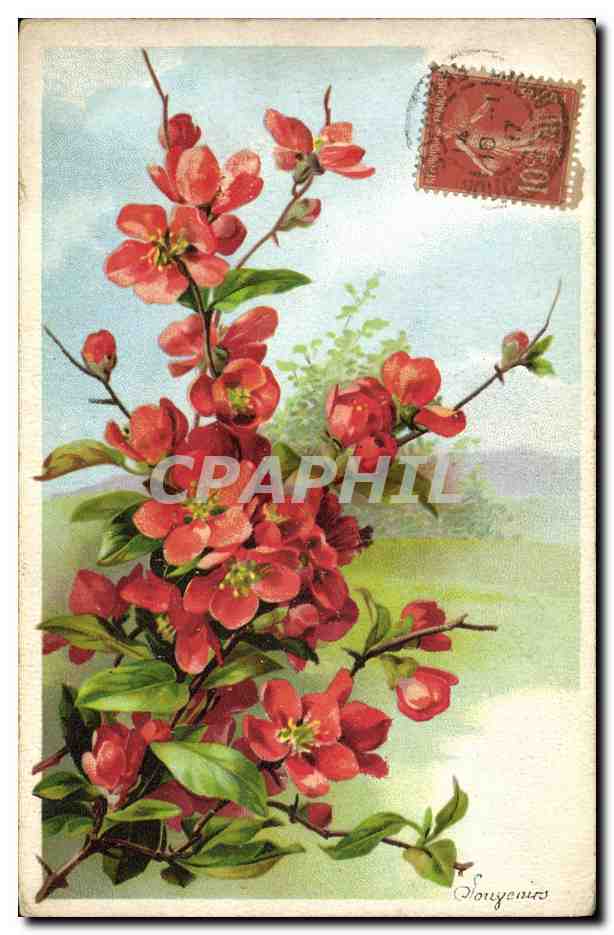 CPA Fantaisie Fleurs 