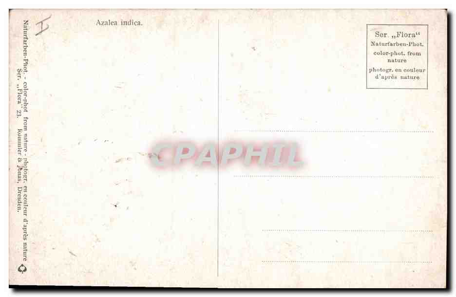 CPA Fantaisie Fleurs  — Back
