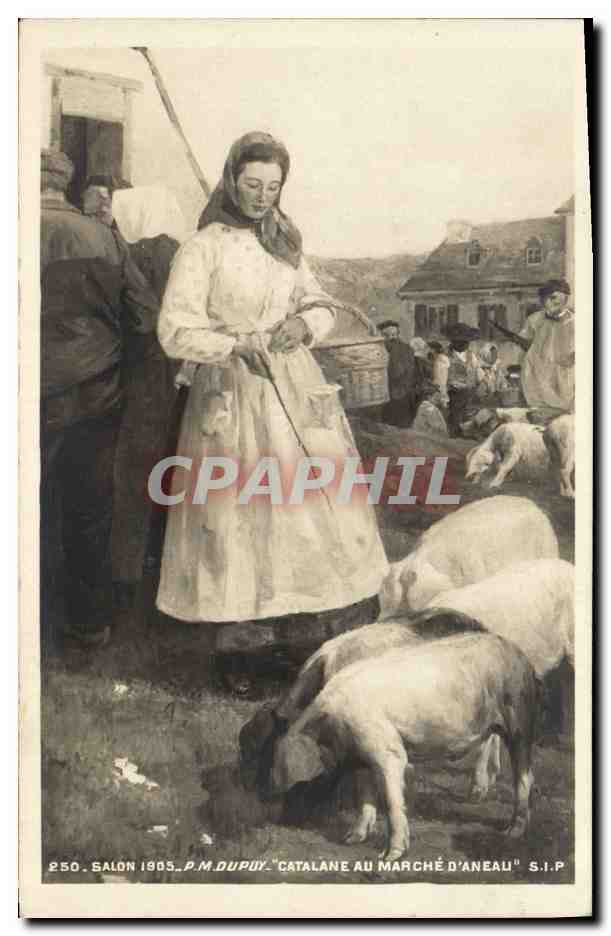 CPA Cochon Porc Salon 1905 Dupuy Catalane au marche d'Aneau 