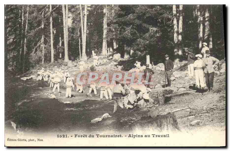 Forêt du Tournairet — Alpins au Travail — Édition Giletta, phot. Nice, n° 1821