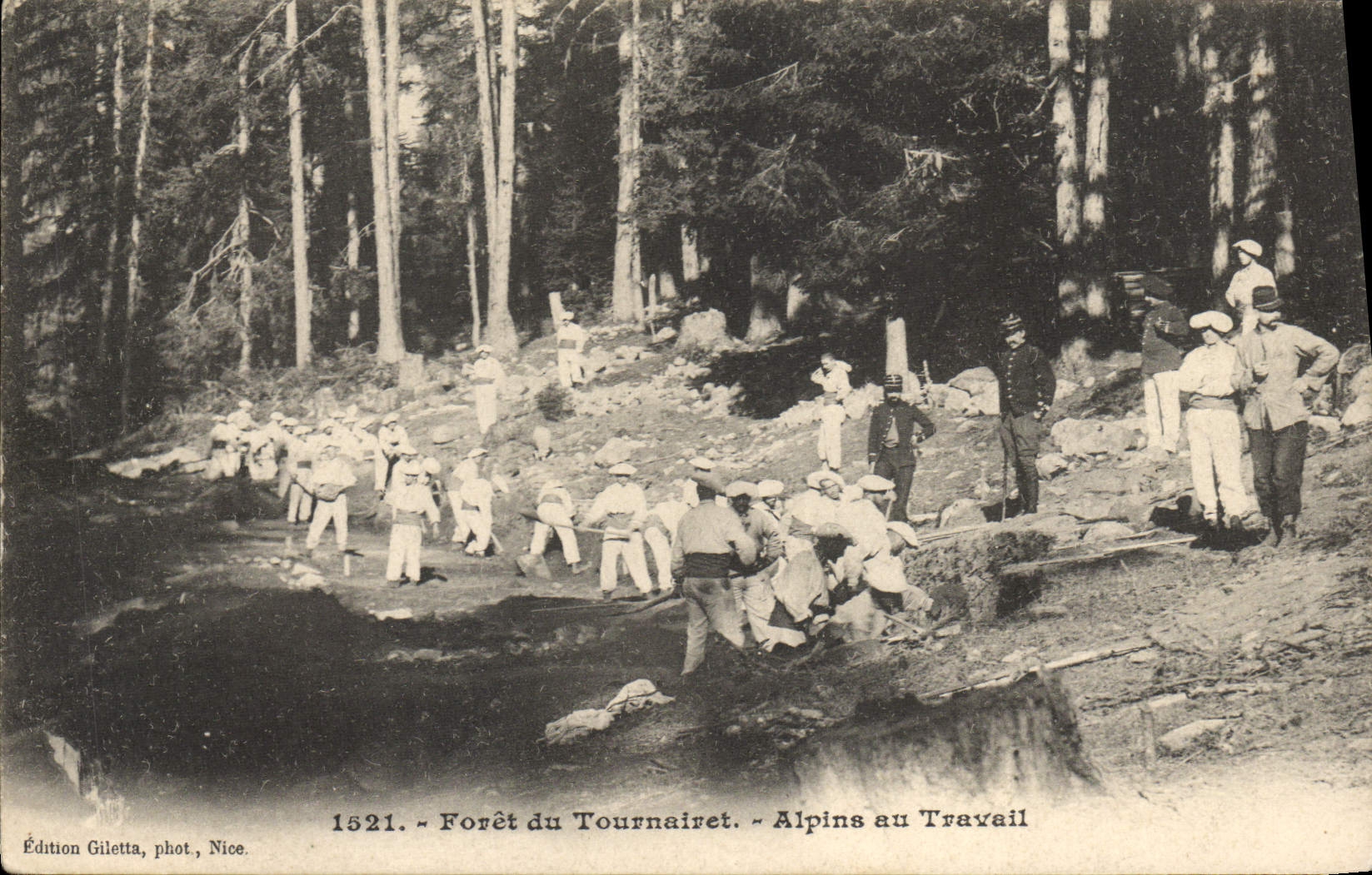 Forêt du Tournairet — Alpins au Travail — Édition Giletta, phot. Nice, n° 1521