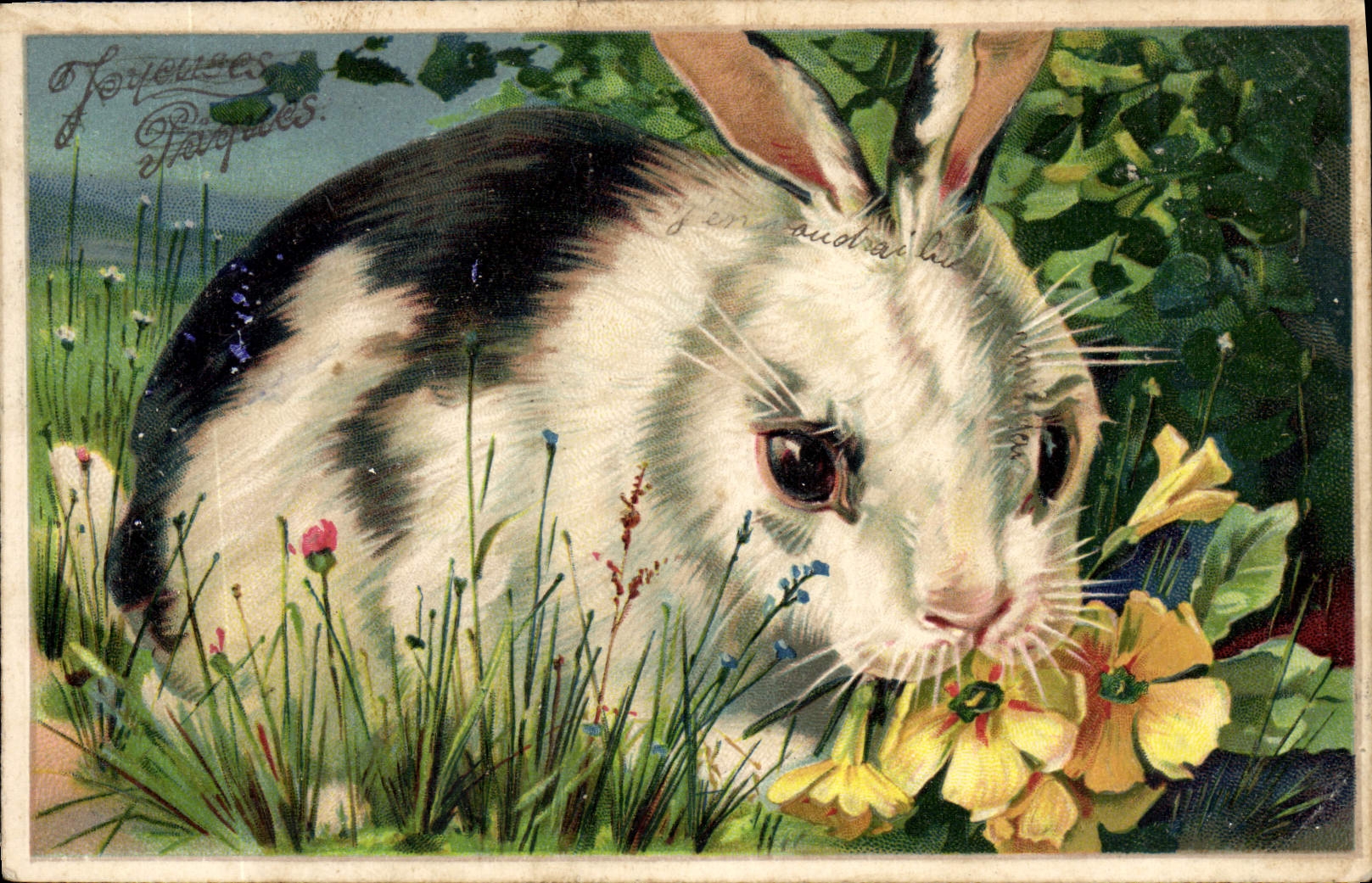 Lapin de Pâques — dans un jardin fleuri — éditeur non identifié