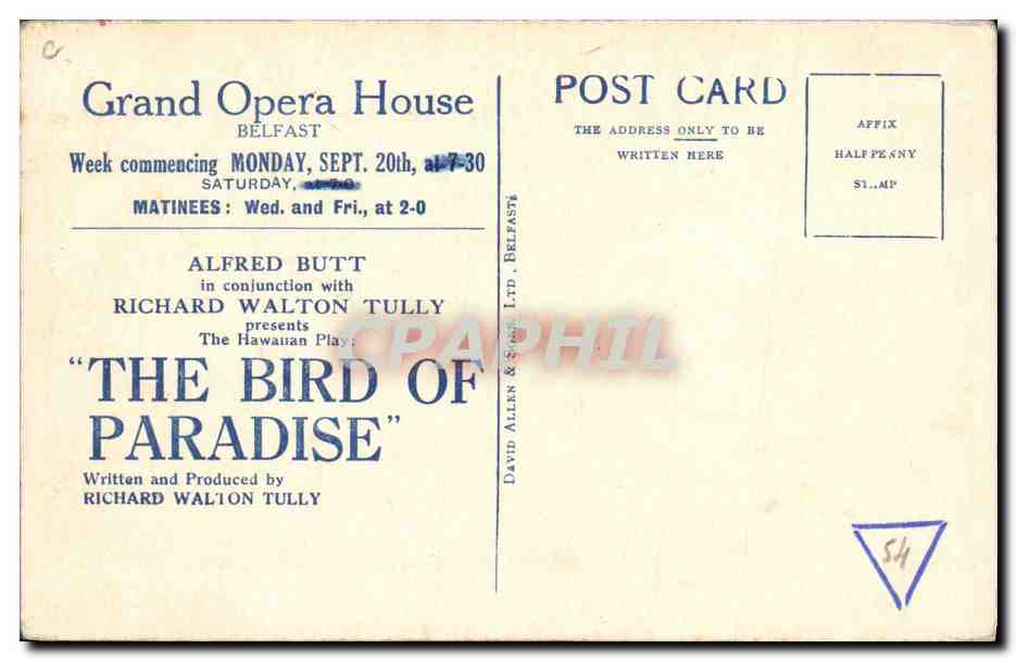 The Bird of Paradise — spectacle à Belfast — David Allen & Sons Ltd. — Rückseite