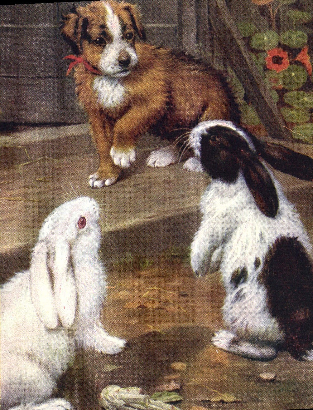 Chien et lapins — scène animale — Tuck's Post Card, n° 9539